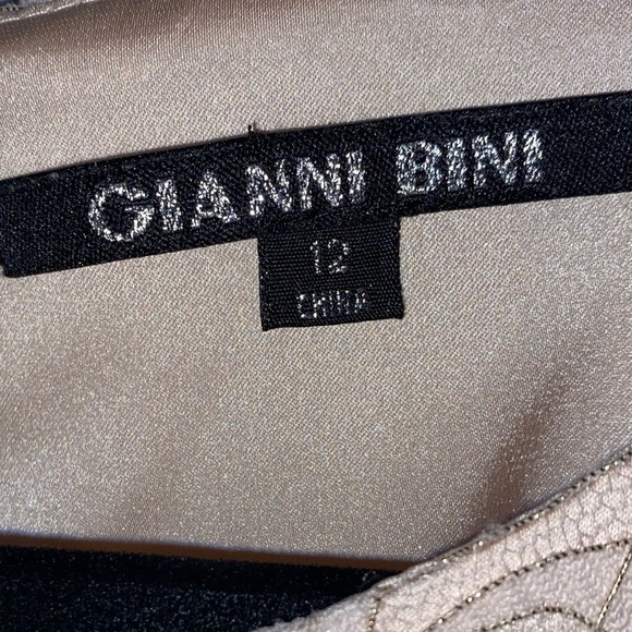 GIANNI BINI Lorena Lace Embroidered Sleeveless Chiffon Dress Gown in Petal Pink - Picture 11 of 16